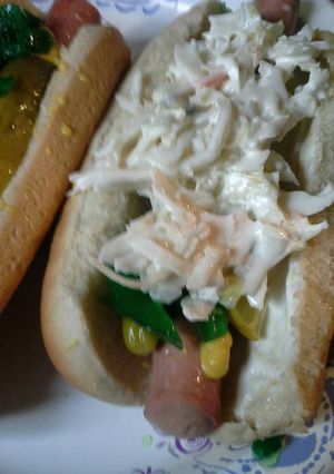 A picture of Vienna with slaw.