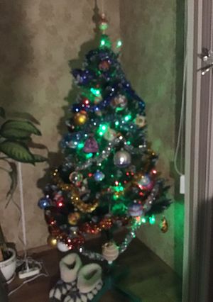 A picture of Merry Christmas !!!.