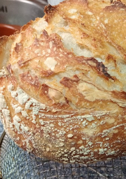 Una foto de Pan Con Masa Madre🍞