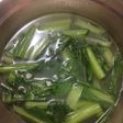 Sayur sawi bening