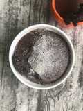 Lava cake