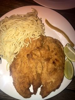 Una foto de Suculentas Milas de Pollo 😍