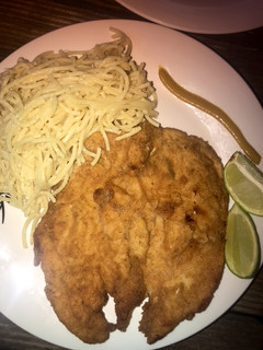 Una foto de Suculentas Milas de Pollo 😍