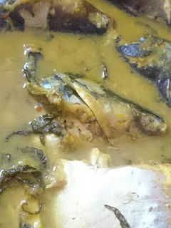 Gambar Ikan Patin Masak Tempoyak