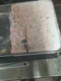 Cazata de helado