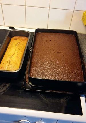 A picture of Chocolate and vanilla cake.