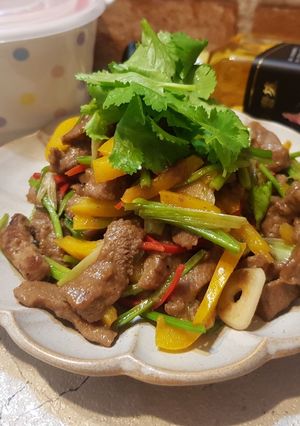 香根彩椒炒牛肉 的食譜成品照片