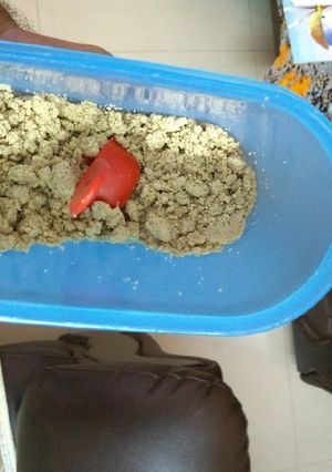A picture of Protein Powder.