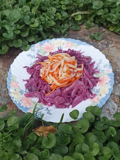 Una foto de Lombarda con surimi