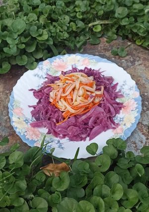 Foto principal de Lombarda con surimi