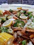 Seafood Shell Out
