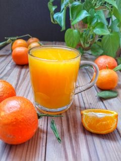 عکسی از دستور رانی پرتقال
