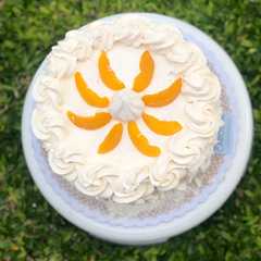Una foto de Torta chajá