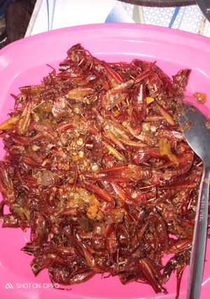 Foto resep Belalang HOT