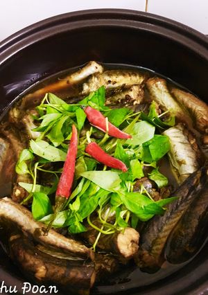 Hình của món Cá kèo kho rau răm.