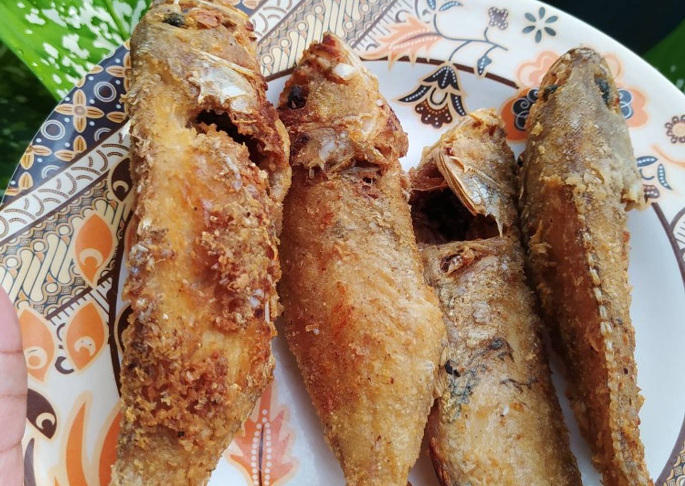 Kerapu goreng