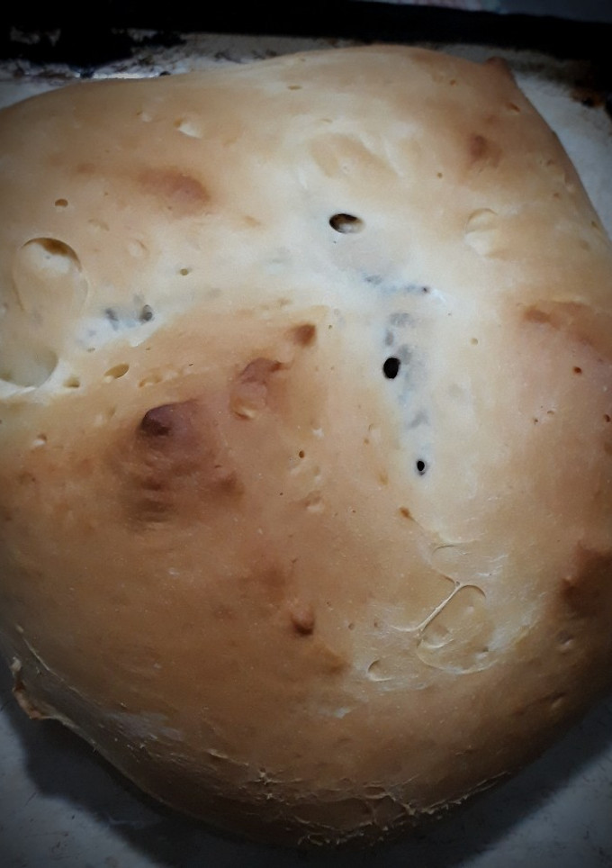 Una foto de Pan dulce navideño de un solo huevo y aceite... ¡riquísimo!