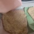 Las milanesas de la abuela Irene