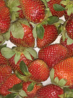 Una foto de Para que tus fresas duren más