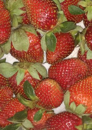 Una foto de Para que tus fresas duren más