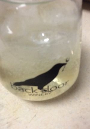 A picture of Mango Gin & Tonic.