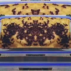 รูปของ Bolu Pisang Coklat Simple