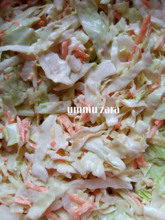 Coleslaw ainihin hoton girkin