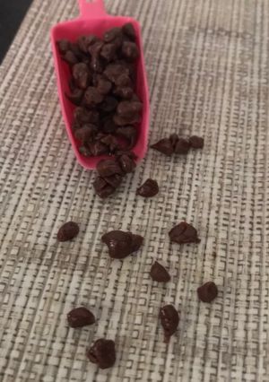 ચોકલેટ ચિપ્સ(Chocolate chips recipe in Gujarati) રેસીપી મુખ્ય ફોટો