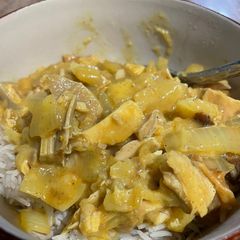 A picture of Turkey curry.