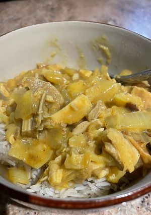 A picture of Turkey curry.