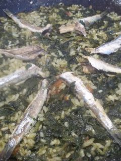 Una foto de Paella de espinacas y boquerones