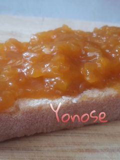 Una foto de Chutney de calabaza (thermomix)