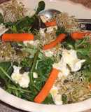 Ensalada fresca