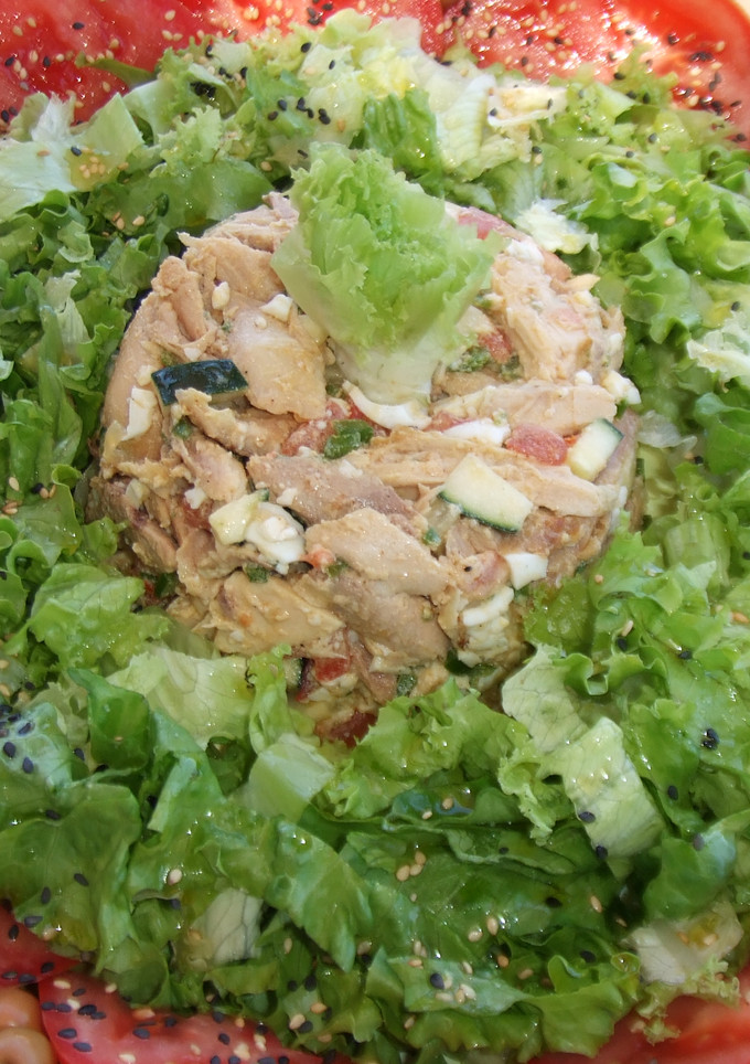 Una foto de Plato especial de pollo frío para dieta