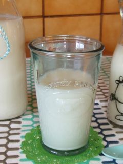 Foto principal de Leche depurativa de alpiste sin lactosa