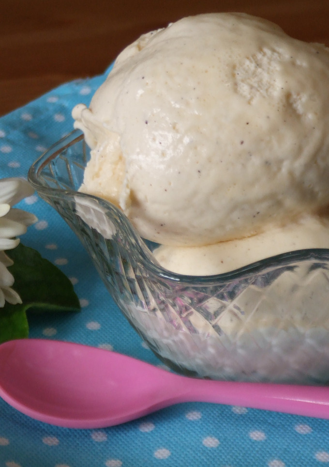 Una foto de Helado básico de vainilla Bourbon
