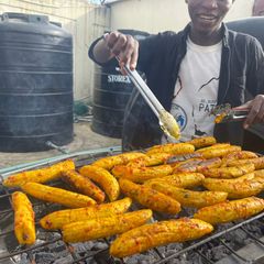 A picture of Grilled GIZDODO.