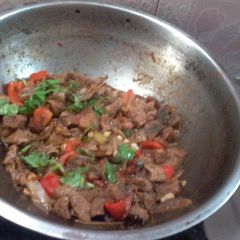 Capsicum soy A picture of Capsicum soy.