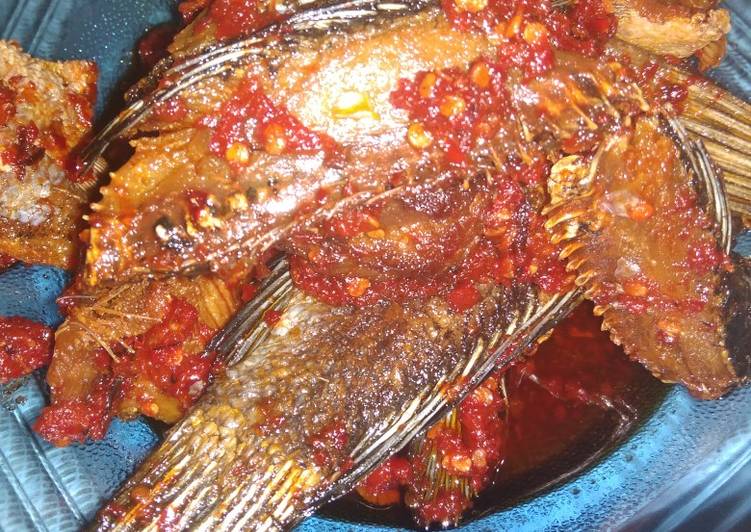 Balado ikan asin gabus
