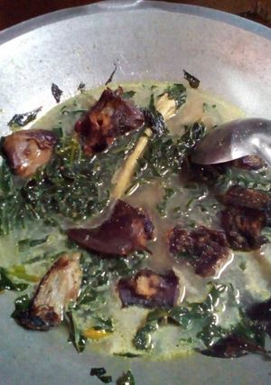 Foto resep Santan Ikan Pe Pepaya Jepang