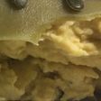 Lasagna verde