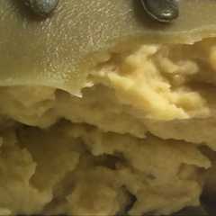 Una foto de Lasagna verde