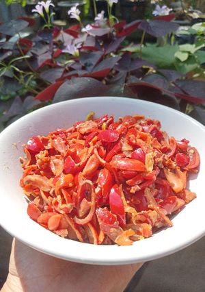 Foto resep Oseng kulit melinjo