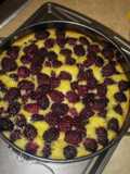 Blackberry Cornmeal Cake