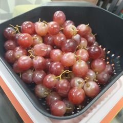 🍀Frozen Grapes🍀 A picture of 🍀Frozen Grapes🍀.