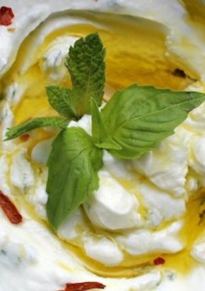 A picture of Labneh(Lebanese yogurt).
