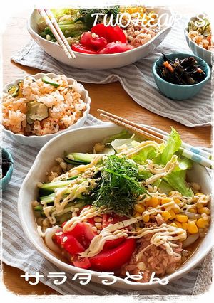 A picture of Summer Favorite: Salad Udon.
