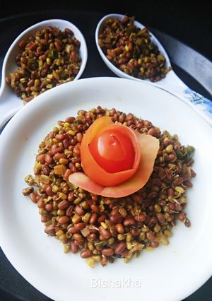 A picture of Sprouts Moong Moth salad.