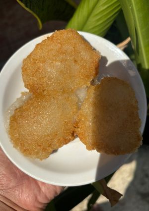 Foto resep Ulen / uli ketan putih simple pakai magicom