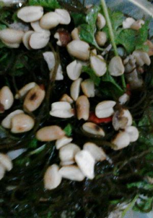 Hình của món Rong biển trộn tôm thịt.
